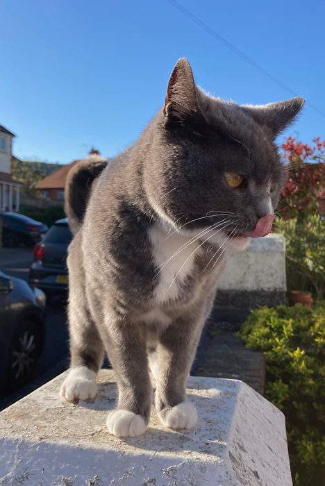 Monday April 27th (2026)&nbsp;Annie lives next door 