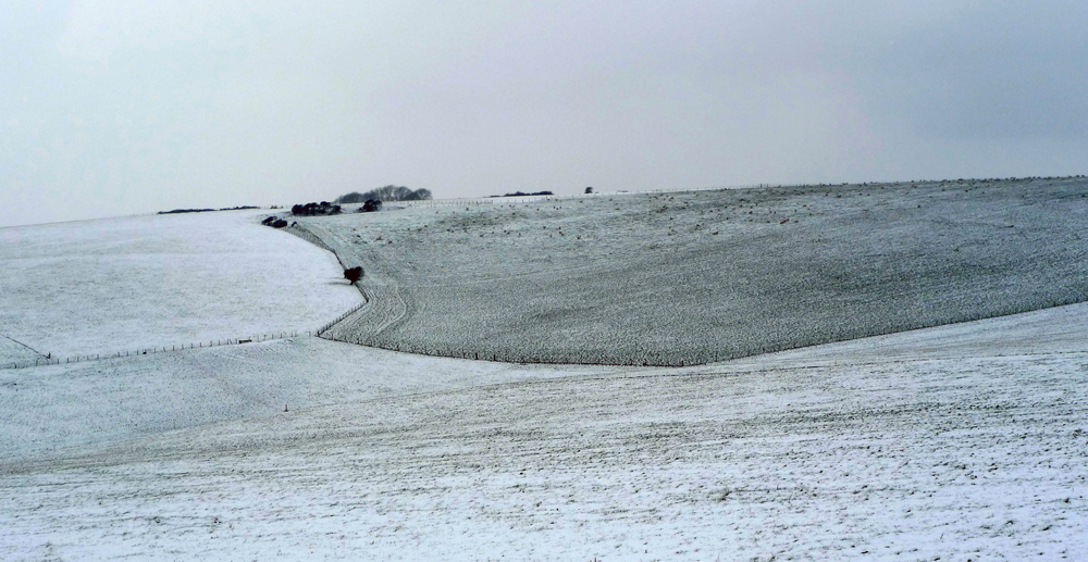 Monday February 25th (2019) Snow width=