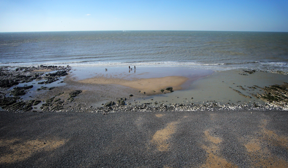 Sunday February 25th (2018) Two dogs and two people ... width=