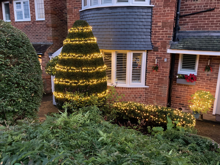 Wednesday December 3rd (2025) Very neat, must have taken some doing! width=