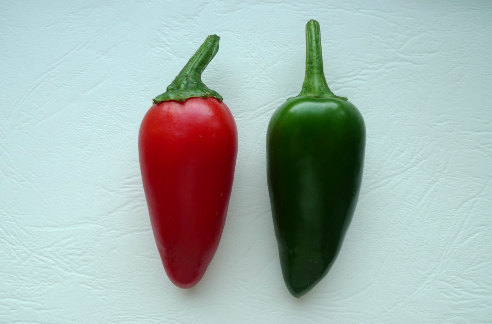 Wednesday November 4th (2020) Two chillies from the greenhouse. width=