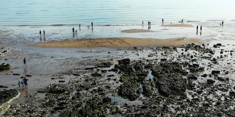 Friday May 17th (2019) People and dogs width=