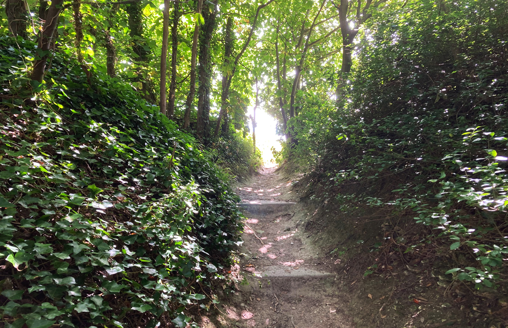 Wednesday August 16th (2023) Public Footpath .... width=