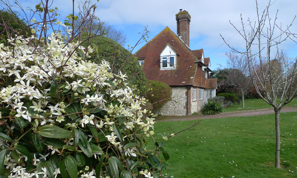 Tuesday March 19th (2019) It looks like spring is here. width=