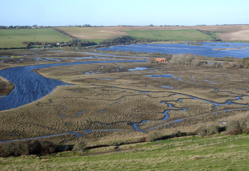 Thursday November 7th (2019) Brown Grass ... width=