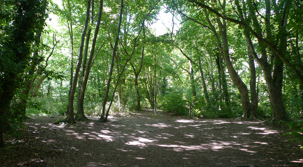 Tuesday June 9th (2020) Walking up to the trig point width=