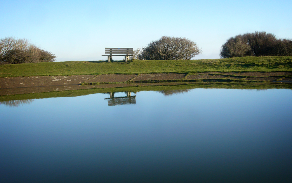 Monday December 2nd (2019) The second dew pond ... width=