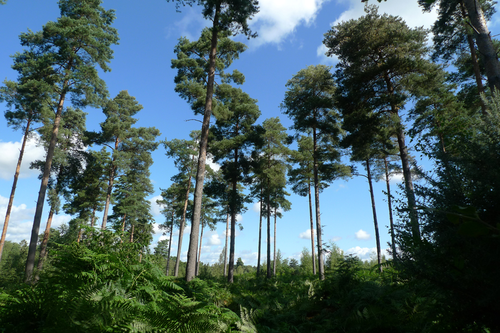 Wednesday August 28th (2019) We take the motorhome to Graffham ... width=