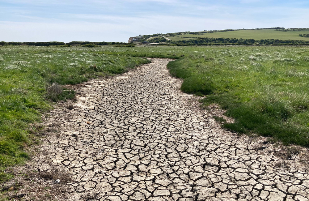 Wednesday April 29th (2026)&nbsp;We need some rain