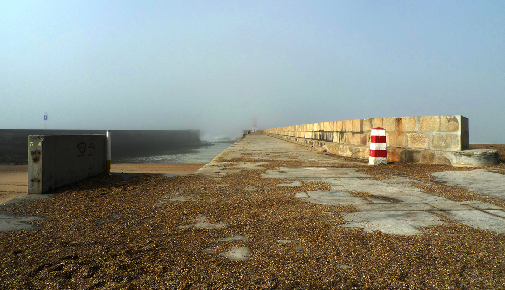 Sunday February 9th (2020) Misty width=