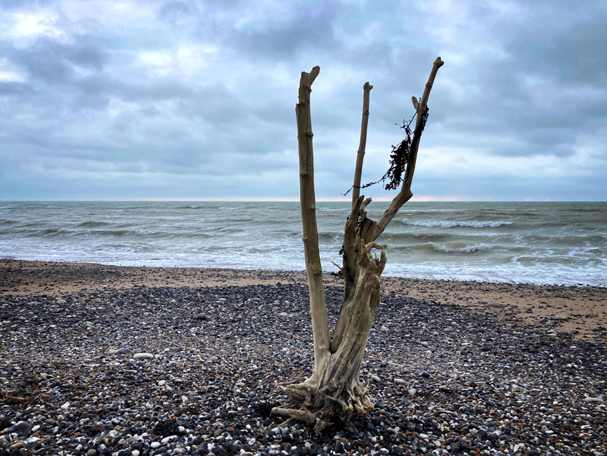 Tuesday December 16th (2025)&nbsp;On the Beach