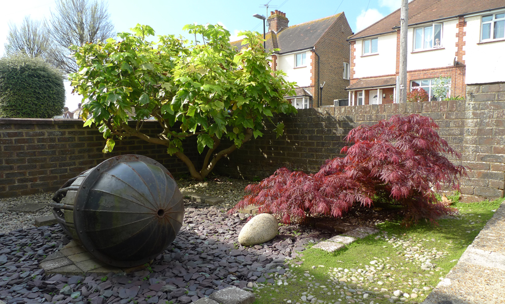 Monday May 16th (2016) Acer width=