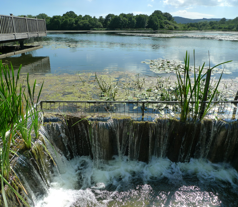 Tuesday July 11th (2017) Cascade joiner width=