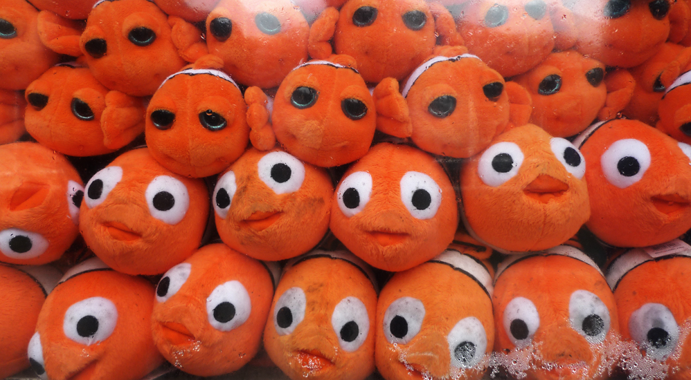 Thursday February 25th (2016) Goldfish width=