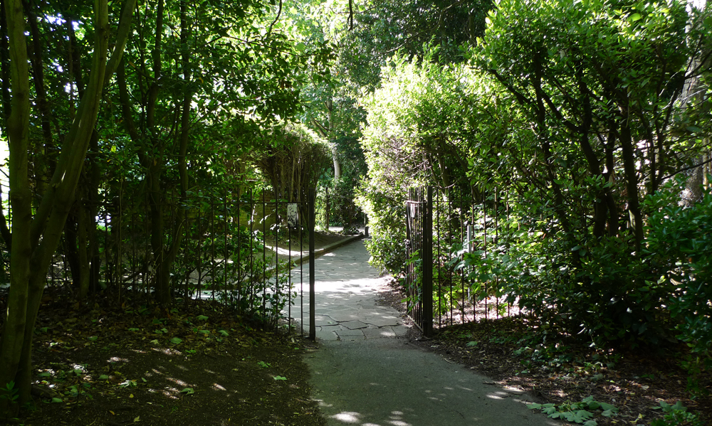 Friday June 9th (2017) Walking Home ... width=