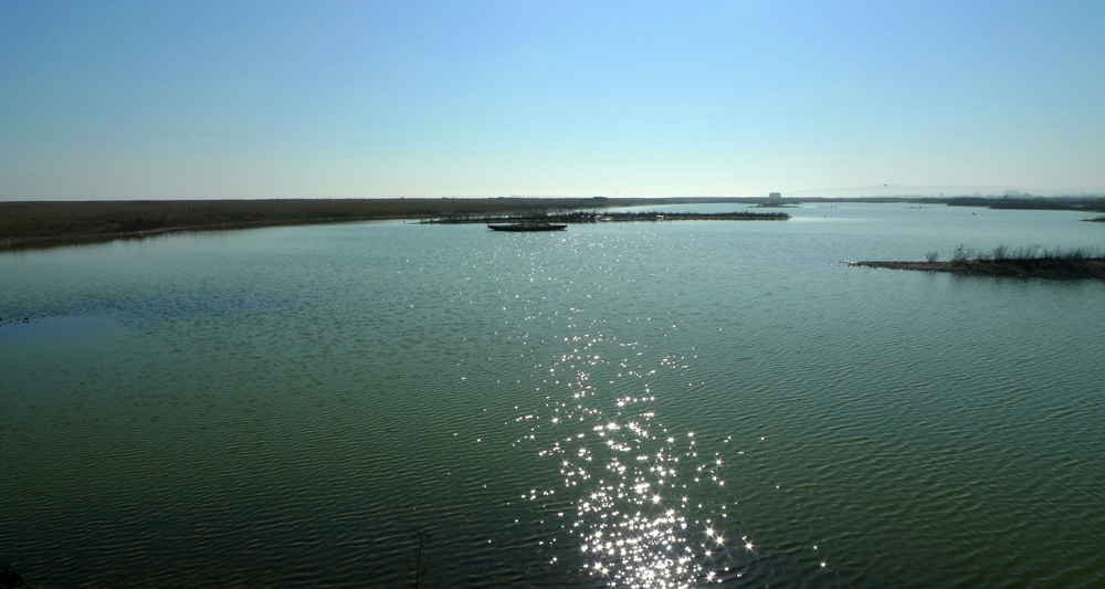 Thursday March 24th (2022) Rye Harbour nature reserve width=