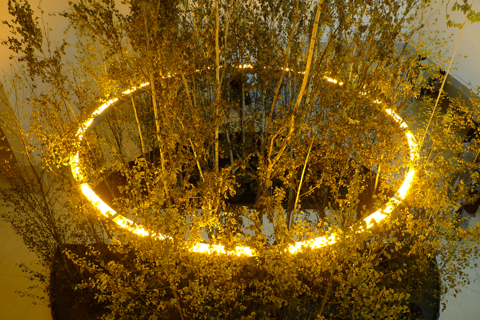Sunday September 29th (2019) Yellow Forest by Olafur Eliasson ... width=