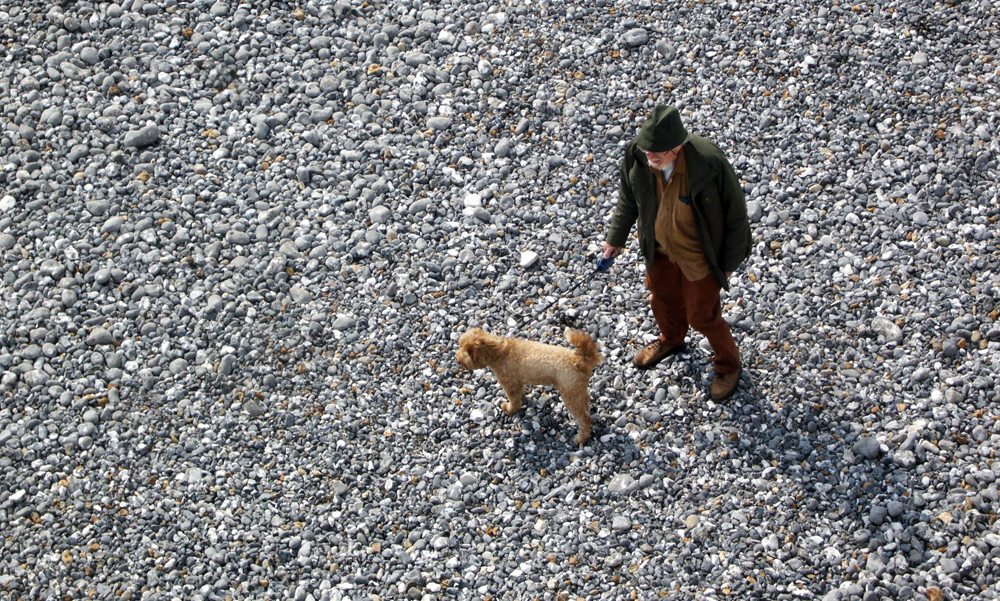 Sunday April 8th (2018) One man and his dog. width=