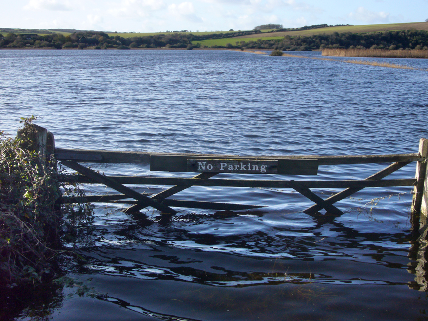 Wednesday November 6th (2019) No Parking width=