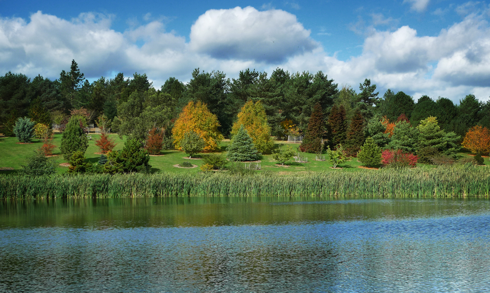 Monday October 5th (2020) Looking across the lake.. width=