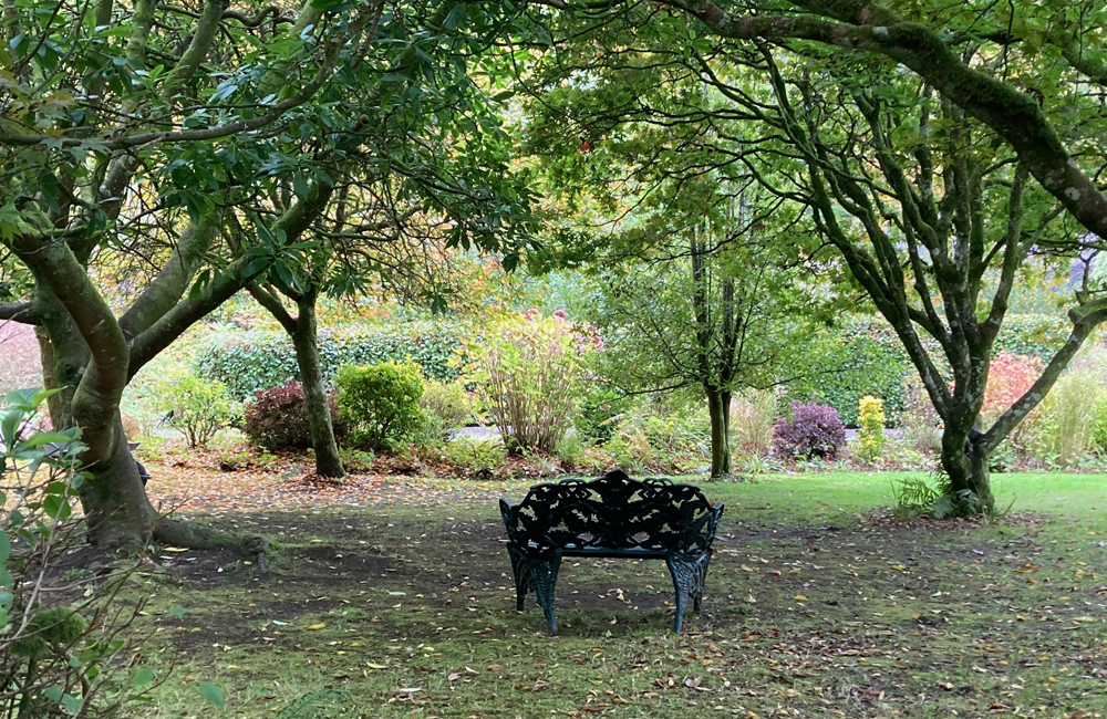 Wednesday October 1st (2025) Colby garden, Pembrokeshire width=