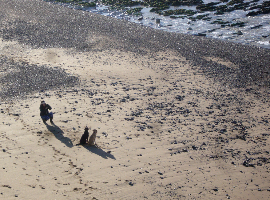 Thursday January 11th (2018) Posing her Pooches ... width=