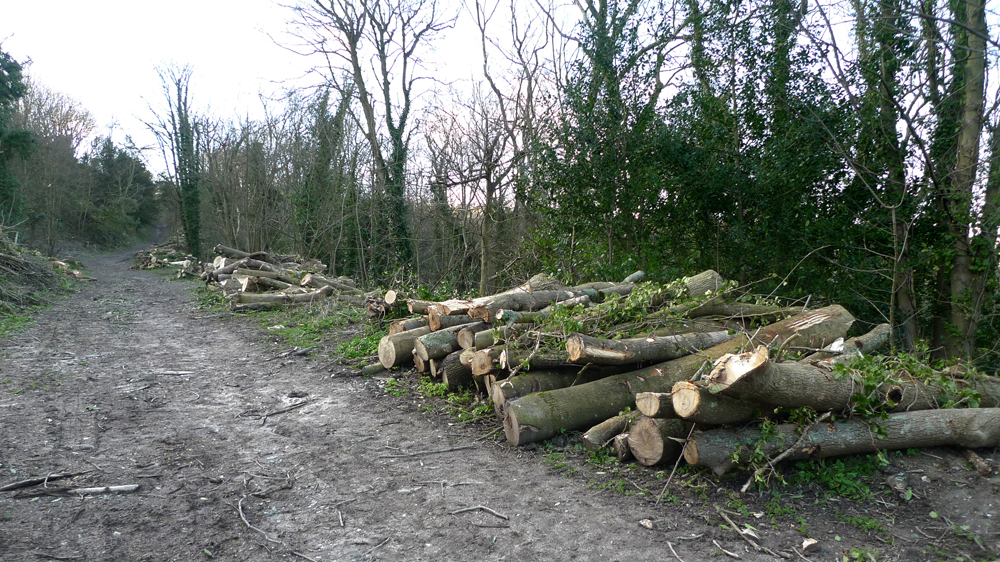 Tuesday February 25th (2020) The Youth Hostel path width=