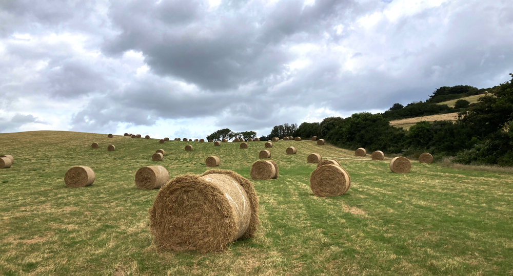 Tuesday July 18th (2023) Rolling Bales width=