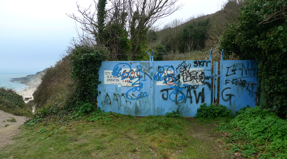 Sunday December 30th (2018) Green and Blue width=