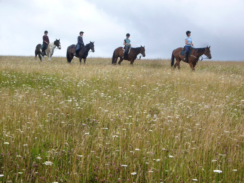 Thursday August 4th (2016) Four Riders width=