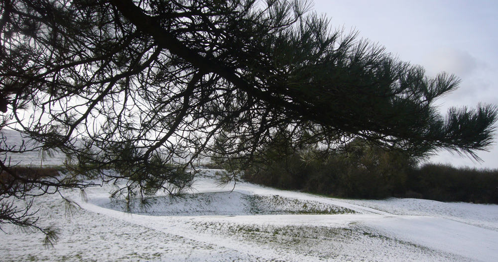 Tuesday January 29th (2019) Low branch width=