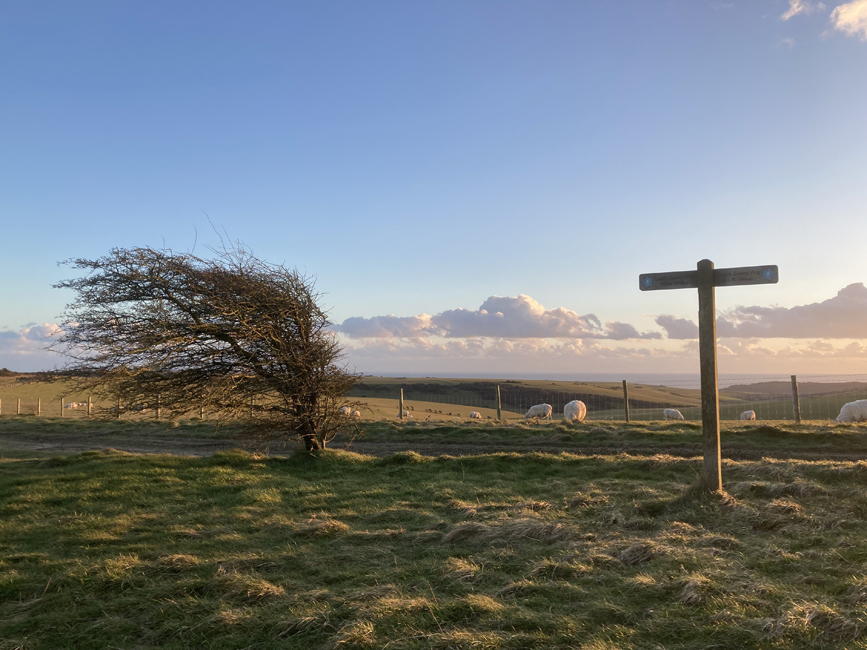 Tuesday March 1st (2022) Cold, windy and very clear today. width=