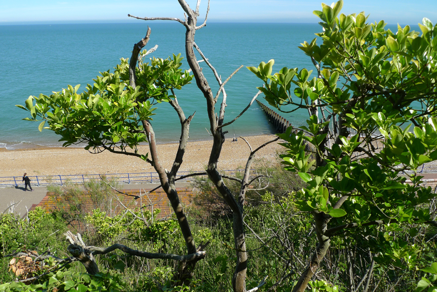 Wednesday May 31st (2017) Looking out to sea. width=