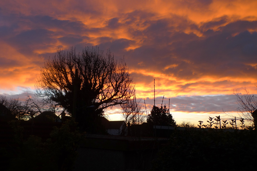 Wednesday January 20th (2016) Good morning all. width=