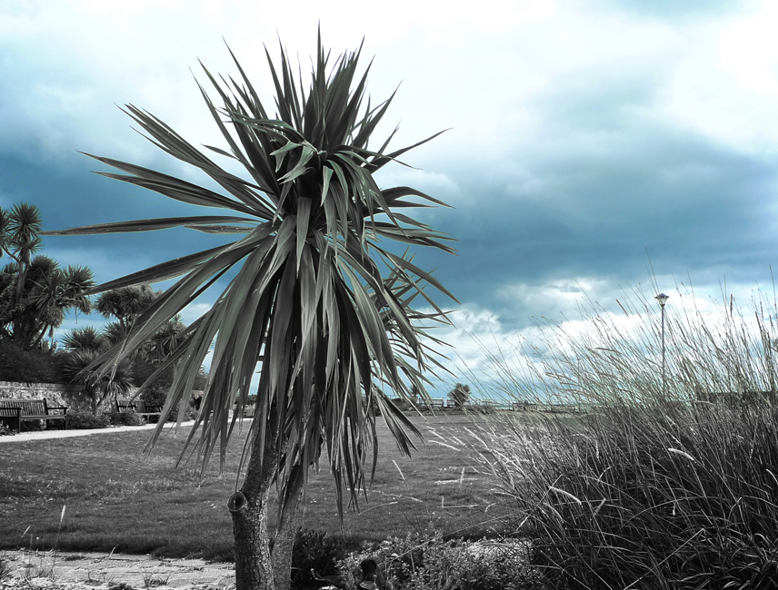 Friday September 15th (2017) Spikes width=