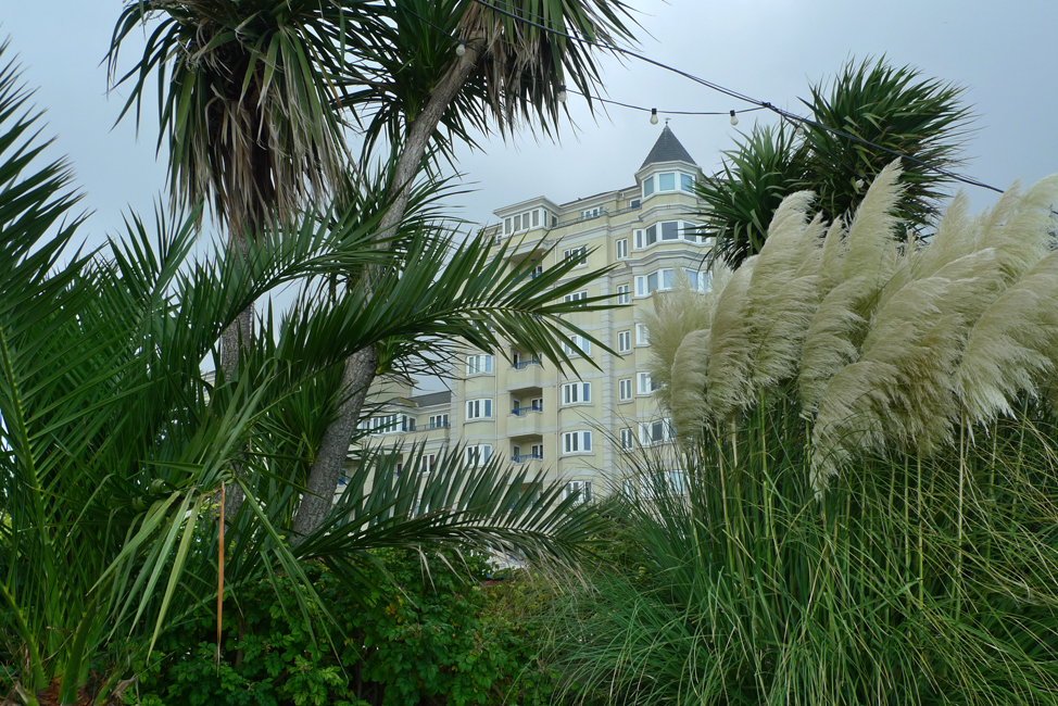 Sunday October 14th (2018) A walk along the promenade width=