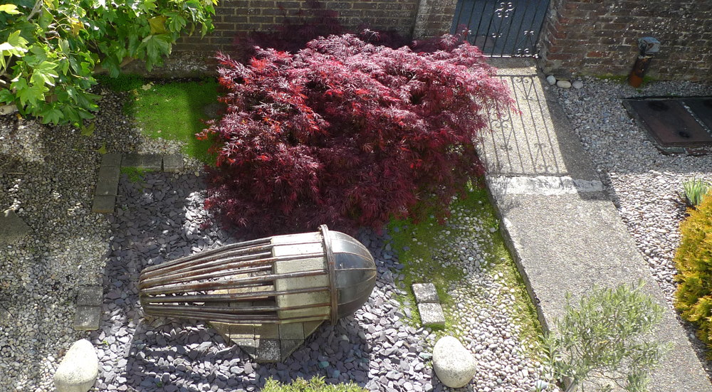 Wednesday May 8th (2019) The 'Dale' Acer ... width=