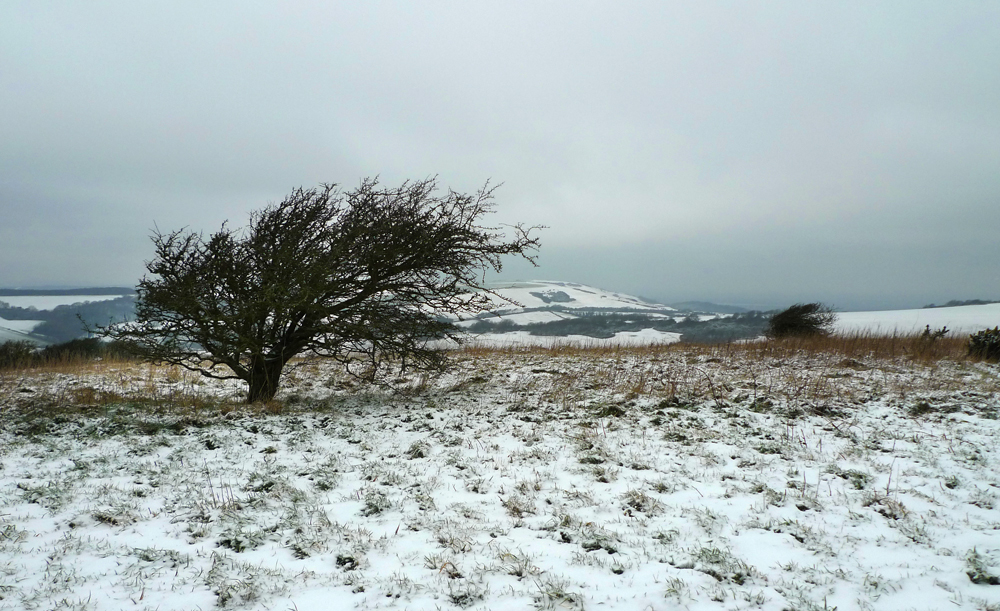 Monday February 8th (2021) View from the Trig Point looking west. width=