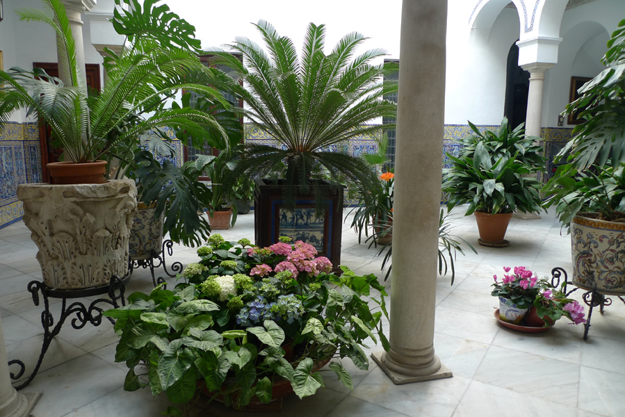 Sunday March 20th (2016) Courtyard in Seville width=