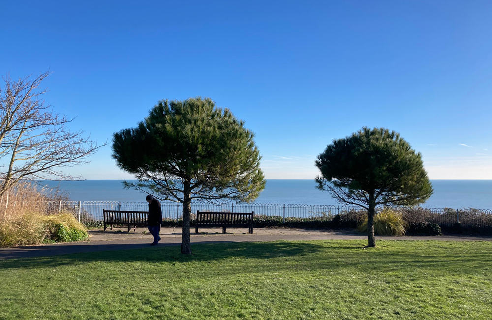 Thursday January 18th (2024) Two trees, two benches one man width=