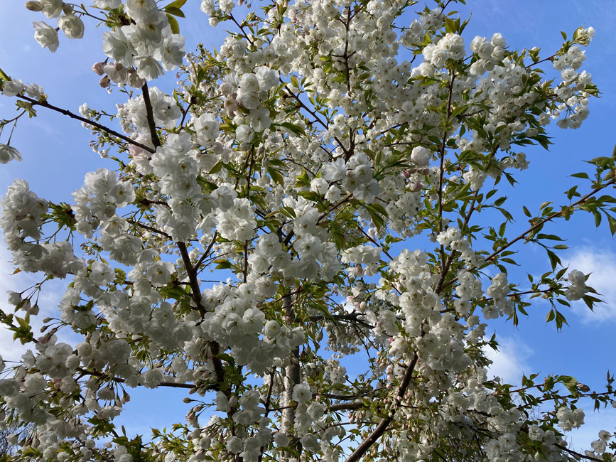 Monday March 30th (2026)&nbsp;Another beautiful sunny morning
