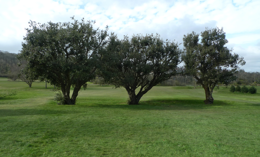 Saturday March 28th (2020) Crossing the golf course width=