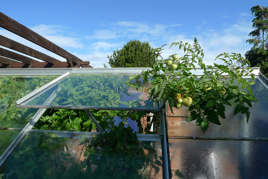 Friday September 30th (2016) Escape width=