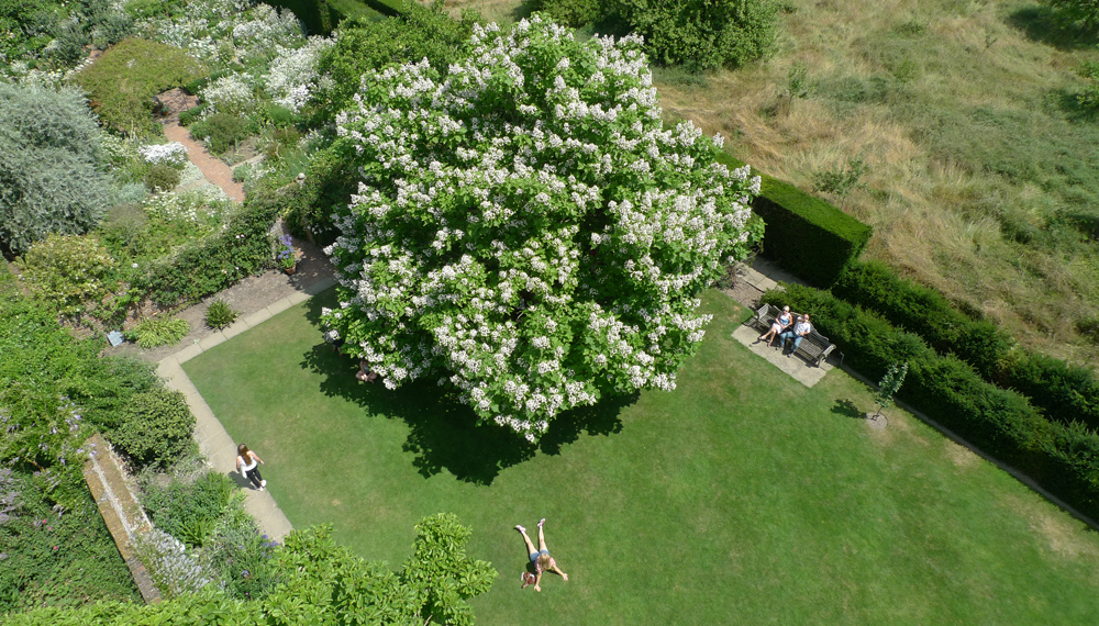 Sunday July 15th (2018) Looking down. width=