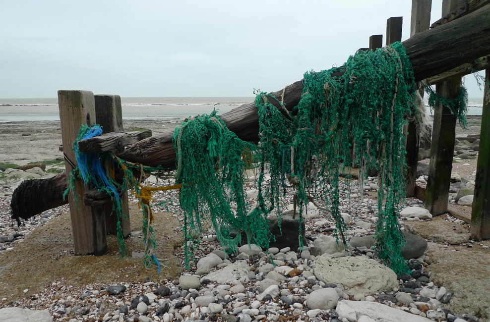 Sunday January 14th (2018) Nets width=