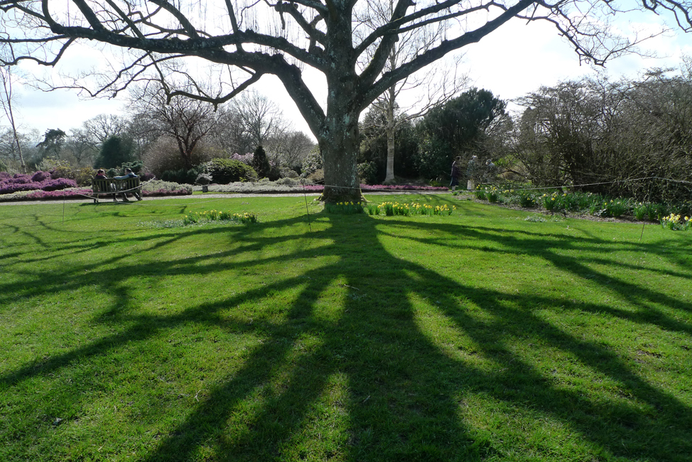 Sunday March 15th (2020) Shooting into the sun (No.12) width=