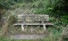 03: Bench before Lockdown #2