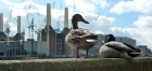 28: Battersea Power Station ...