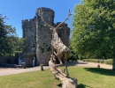 We visit Upton Castle and Gardens