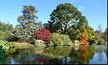 19: Sheffield Park Gardens